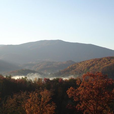 Bear Necessities, Luxury 5Bd Mtn Views, Hot Tub, Many Bear Sightings Villa แกตลิงเบิร์ก ภายนอก รูปภาพ
