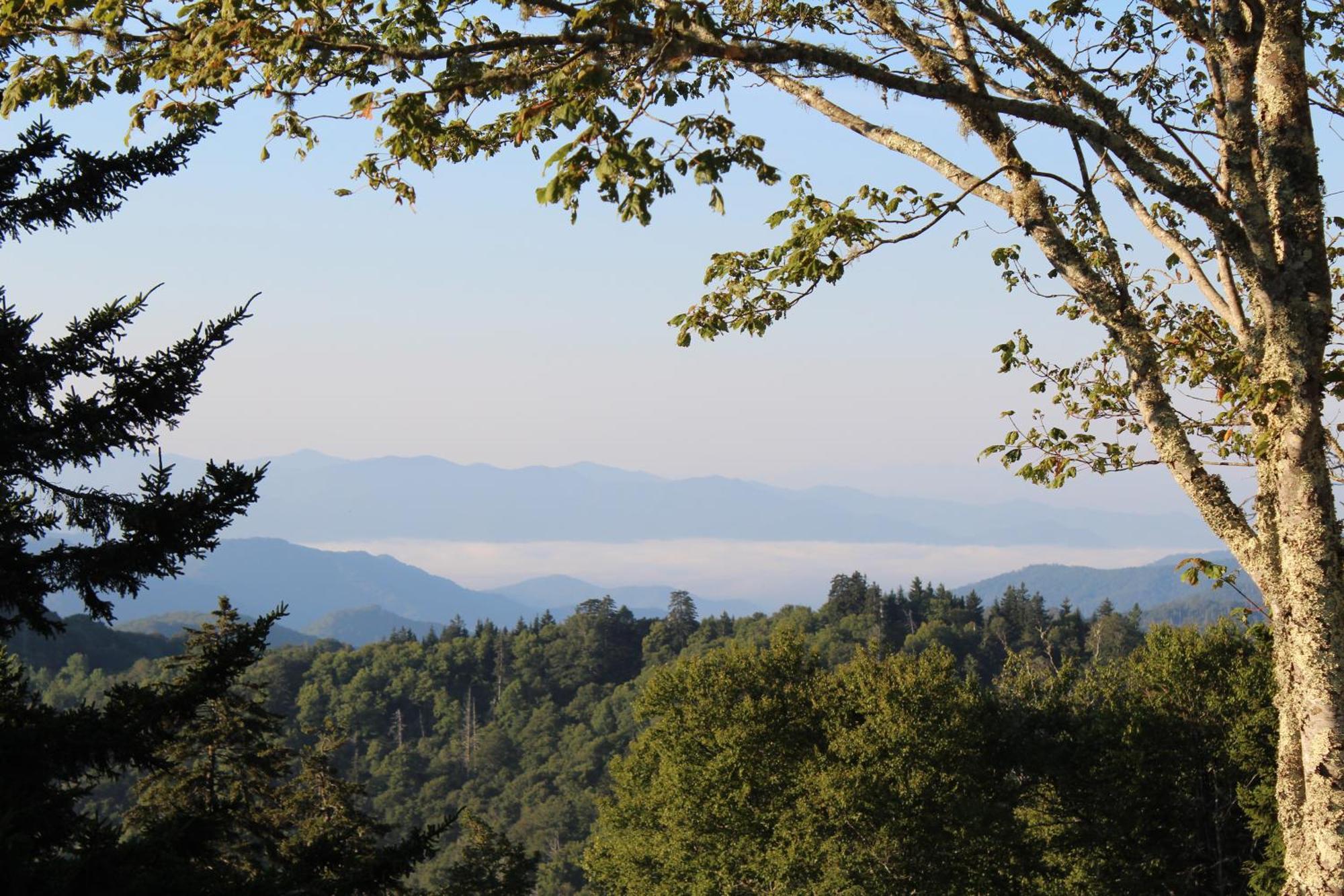Bear Necessities, Luxury 5Bd Mtn Views, Hot Tub, Many Bear Sightings Villa แกตลิงเบิร์ก ภายนอก รูปภาพ