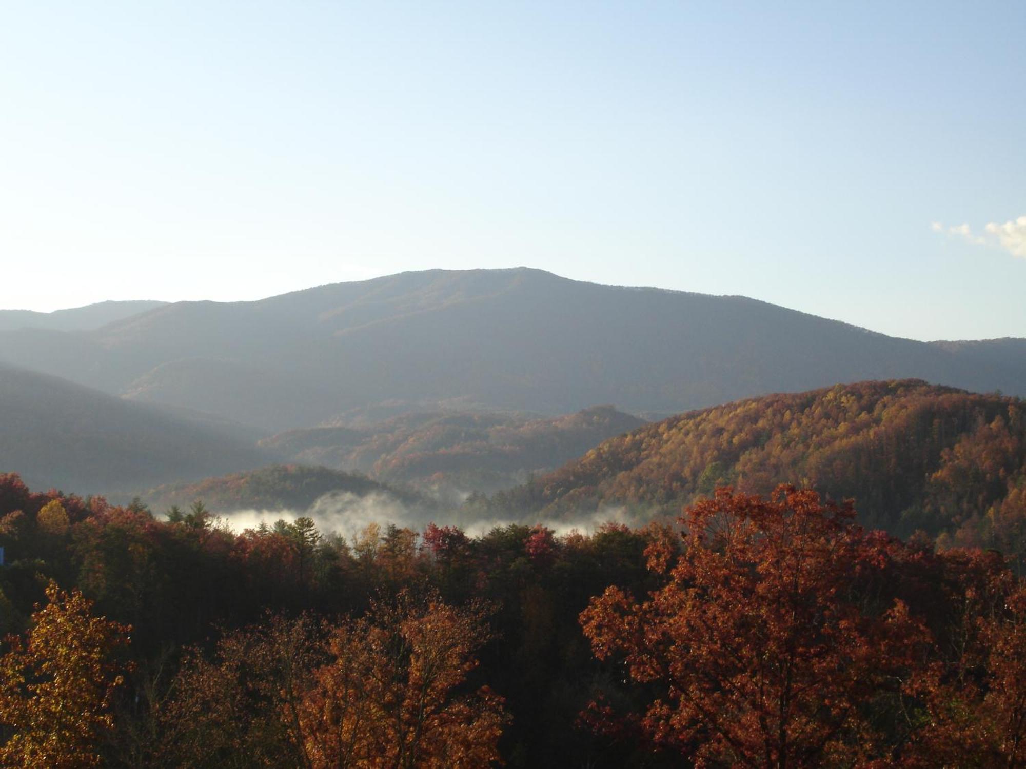 Bear Necessities, Luxury 5Bd Mtn Views, Hot Tub, Many Bear Sightings Villa แกตลิงเบิร์ก ภายนอก รูปภาพ