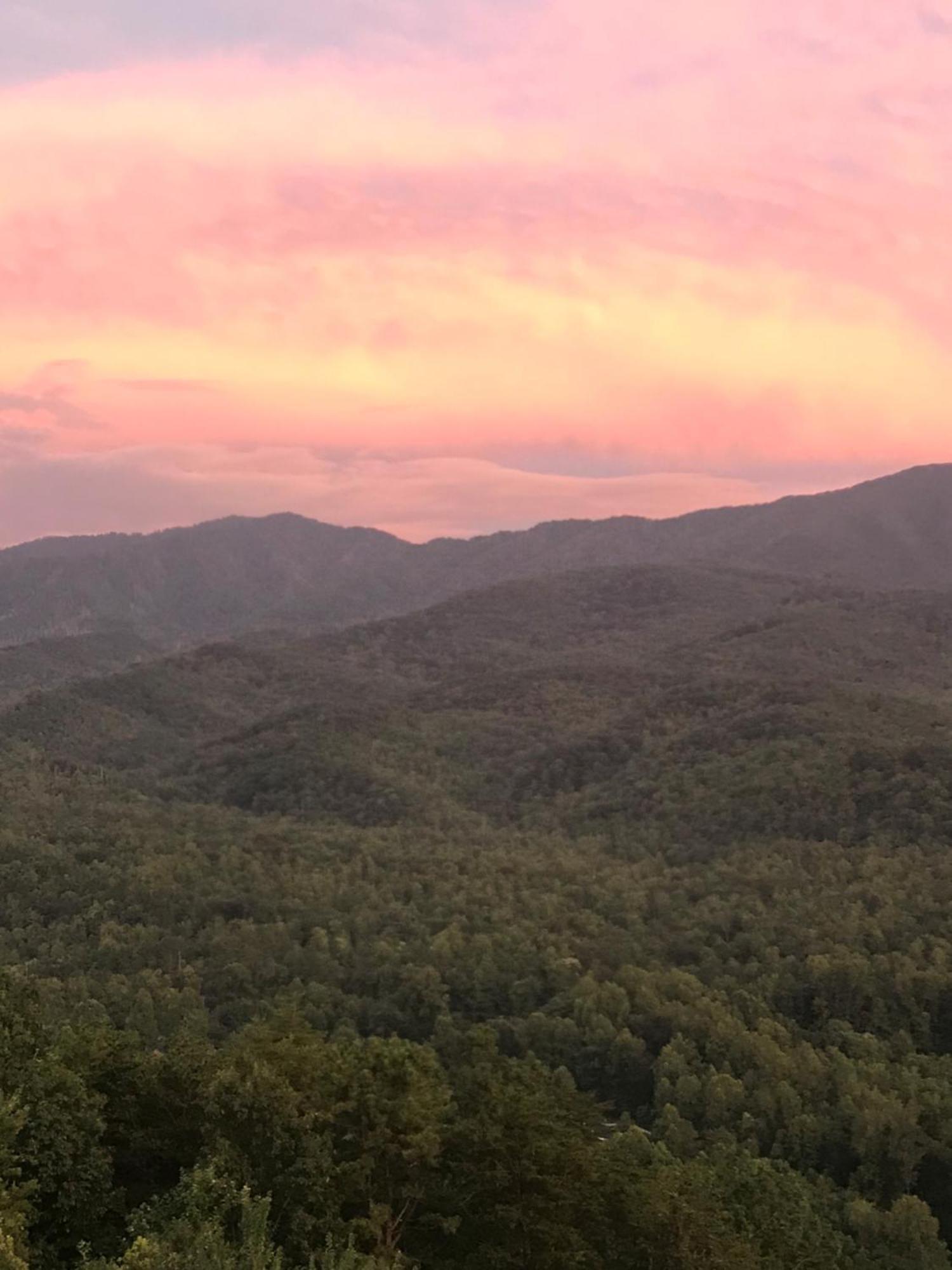 Bear Necessities, Luxury 5Bd Mtn Views, Hot Tub, Many Bear Sightings Villa แกตลิงเบิร์ก ภายนอก รูปภาพ