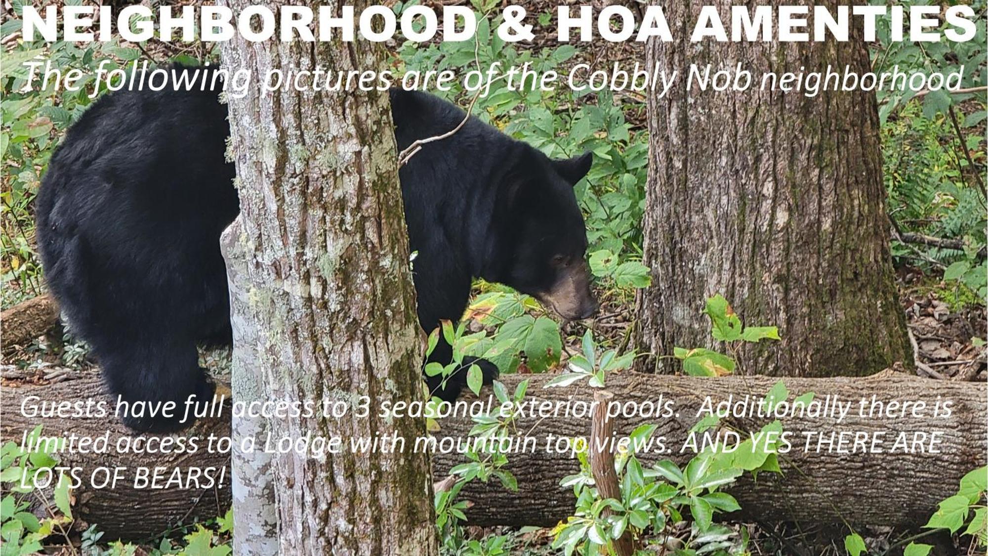 Bear Necessities, Luxury 5Bd Mtn Views, Hot Tub, Many Bear Sightings Villa แกตลิงเบิร์ก ภายนอก รูปภาพ